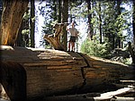 105_0566.JPG