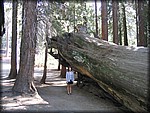 105_0568.JPG