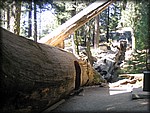 105_0570.JPG