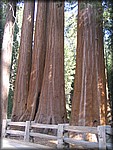 105_0577.JPG