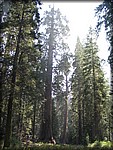 105_0589.JPG
