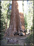 105_0592.JPG