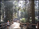 105_0596.JPG