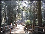 105_0597.JPG