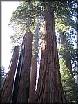 105_0598.JPG