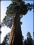 105_0600.JPG