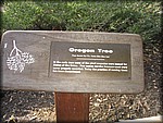 106_0602.JPG