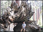 106_0604.JPG