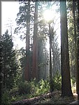106_0605.JPG
