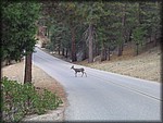 106_0617.JPG
