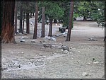 106_0618.JPG