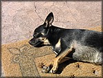 132_3216.JPG