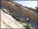 132_3227.JPG