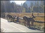133_3317.JPG