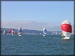 136_3623.JPG