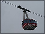 P1050063.JPG