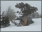 P1050075.JPG