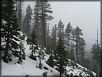 P1050118.JPG