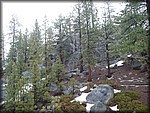 P1050171.JPG