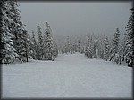 P1050197.JPG