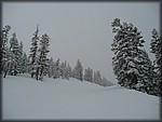 P1050204.JPG