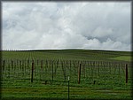 P1050265.JPG