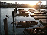 P1060076.JPG