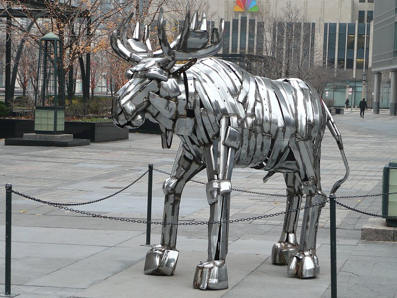 P1080534.JPG