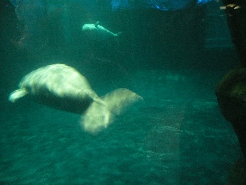 P1080636.JPG