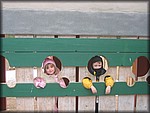 IMG_0346.jpg