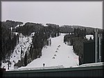 IMG_4221.JPG