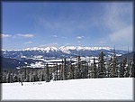 IMG_4286.JPG