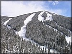 IMG_4298.JPG