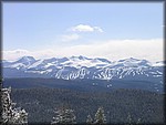 IMG_4318.JPG