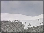 IMG_4325.JPG