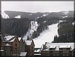 IMG_4375.JPG