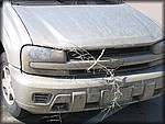 IMG_4519.jpg