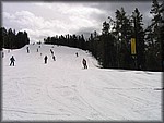 IMG_6262.jpg