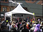 IMG_6302.jpg
