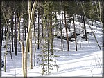 IMG_6396.jpg