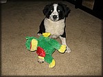 IMG_2470.jpg