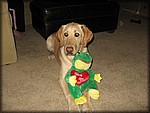 IMG_2474.jpg