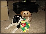 IMG_2476.jpg