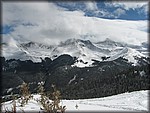 IMG_2526.jpg