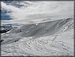 IMG_2528.jpg