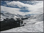 IMG_2530.jpg