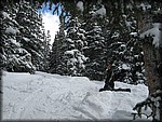 IMG_2544.jpg