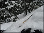 IMG_2548.jpg