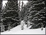 IMG_2549.jpg