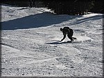 IMG_2557.jpg